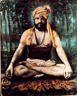 Siddhanath in Samadhi